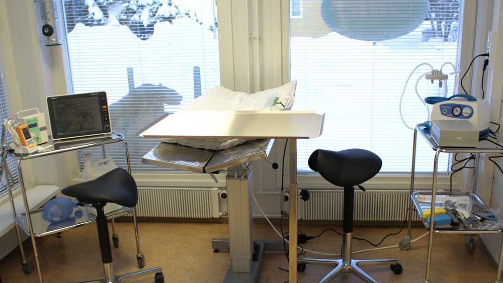 eläinlääkäri kirurgia