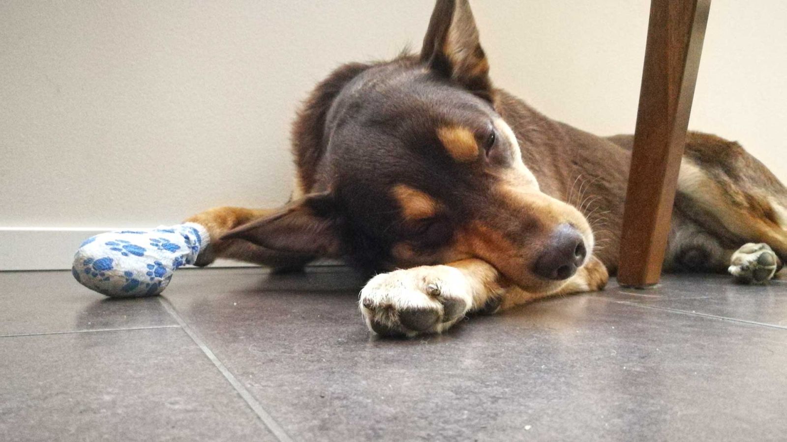 akuutinsairaudenhoito