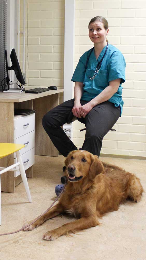 eläinlääkäri kirurgia