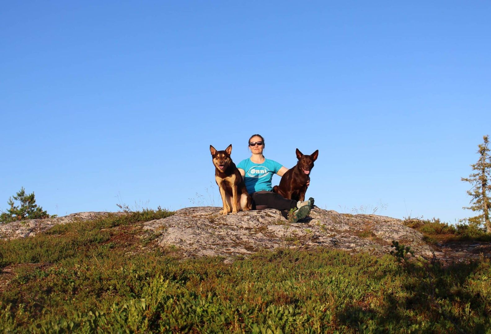 Eläinlääkäripalvelut